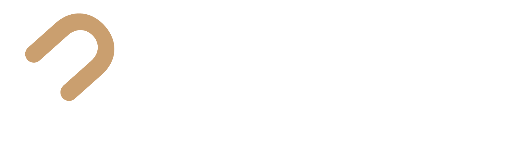 Securo Partnership Programme